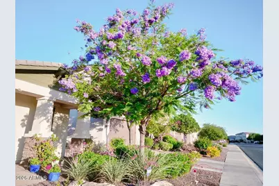 10113 W Angels Lane, Peoria, AZ 85383 - Photo 3