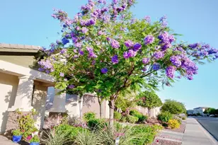 10113 W Angels Ln, Peoria, AZ 85383 - Photo 3