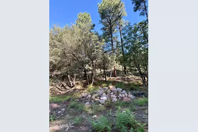 165 W Burnt Point Trail #1, Payson, AZ 85541 - Photo 1