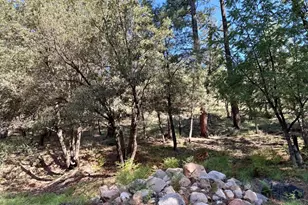 165 W Burnt Point Trail, Payson, AZ 85541 - Photo 1