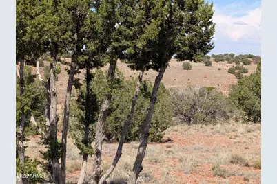 9 N9117 -- #360, Concho, AZ 85924 - Photo 21