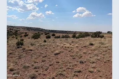 9 N9117 -- #360, Concho, AZ 85924 - Photo 49