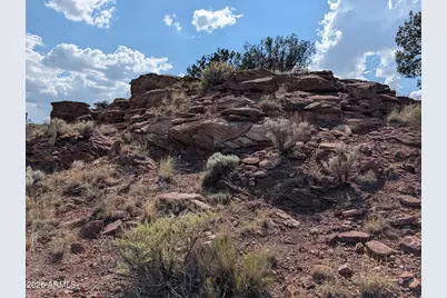 9 N9117 -- #360, Concho, AZ 85924 - Photo 57