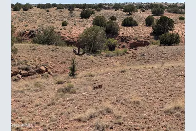 9 N9117 -- #360, Concho, AZ 85924 - Photo 51