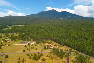 8900 N Snow Bowl Ranch Rd, Flagstaff, AZ 86001 - Photo 65
