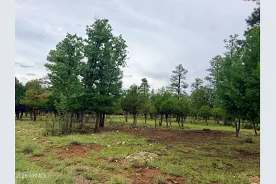 4517 Durango Drive #374, Happy Jack, AZ 86024 - Photo 3