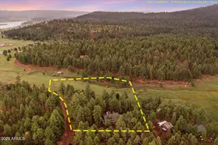 36 N County Road 2147 --, Alpine, AZ 85920 - Photo 65