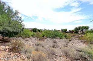 10439 E Salt Bush Dr, Scottsdale, AZ 85255 - Photo 35
