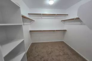 3247 E Tyson St, Gilbert, AZ 85295 - Photo 19