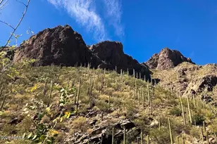 6516 N Via Divina --, Tucson, AZ 85750 - Photo 27
