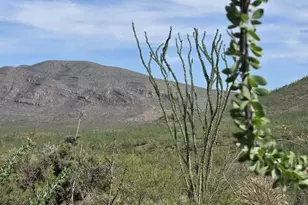 Tbd E Windmill Rd, Tombstone, AZ 85638 - Photo 1
