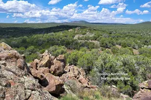 13664 Round Mountain Expy, Williams, AZ 86046 - Photo 43
