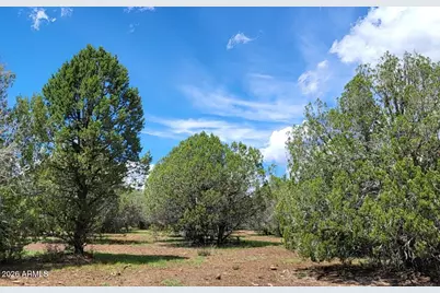 13664 Round Mountain Expressway, Williams, AZ 86046 - Photo 41