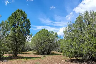 13664 Round Mountain Expy, Williams, AZ 86046 - Photo 41