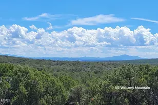 13664 Round Mountain Expy, Williams, AZ 86046 - Photo 31