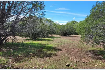 13664 Round Mountain Expressway, Williams, AZ 86046 - Photo 21