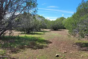 13664 Round Mountain Expy, Williams, AZ 86046 - Photo 21