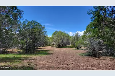 13664 Round Mountain Expressway, Williams, AZ 86046 - Photo 19