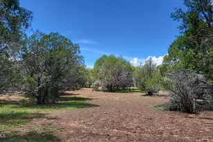 13664 Round Mountain Expy, Williams, AZ 86046 - Photo 19