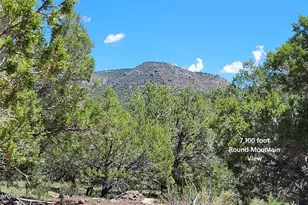 13664 Round Mountain Expy, Williams, AZ 86046 - Photo 29