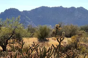 0 138th --, Scottsdale, AZ 85262 - Photo 1