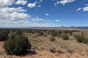 0 Arizona Ranchos --, Sun Valley, AZ 86029 - Photo 1