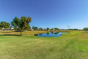 9528 E Sunmesa Ct, Sun Lakes, AZ 85248 - Photo 61