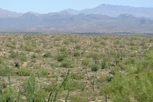 15926 E Rocky Mountain Pl, Fountain Hills, AZ 85268 - Photo 19