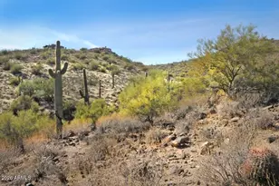 11664 N Sunset Vista Dr, Fountain Hills, AZ 85268 - Photo 17
