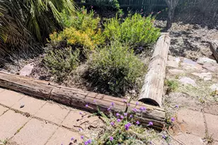 5185 E Paseo Las Palmas --, Sierra Vista, AZ 85635 - Photo 41