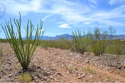 3Xx W Lonely Dove Pl -- #11, Huachuca City, AZ 85616 - Photo 5