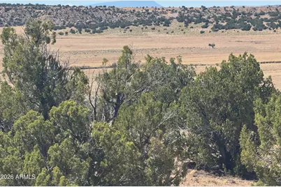 Lot 753 Woodland Valley Ranch -- #753, Saint Johns, AZ 85936 - Photo 5