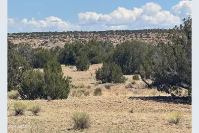 Lot 753 Woodland Valley Ranch -- #753, Saint Johns, AZ 85936 - Photo 17