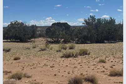 Lot 753 Woodland Valley Ranch -- #753, Saint Johns, AZ 85936 - Photo 19