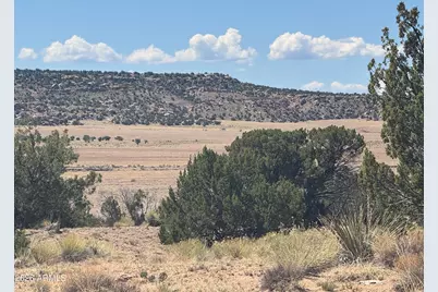 Lot 753 Woodland Valley Ranch -- #753, Saint Johns, AZ 85936 - Photo 3