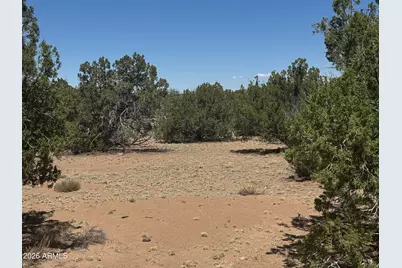 Lot 753 Woodland Valley Ranch -- #753, Saint Johns, AZ 85936 - Photo 21