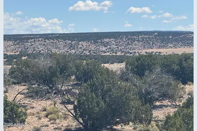Lot 753 Woodland Valley Ranch -- #753, Saint Johns, AZ 85936 - Photo 9