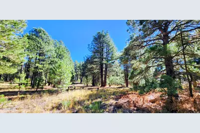 1958 Ferret Circle #260, Forest Lakes, AZ 85931 - Photo 1