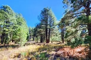 1958 Ferret Cir, Forest Lakes, AZ 85931 - Photo 1
