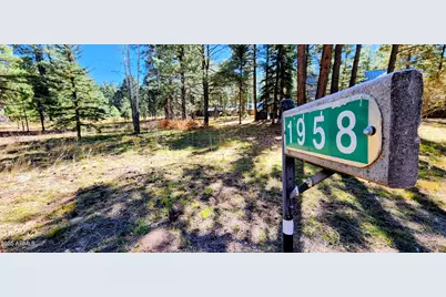 1958 Ferret Circle #260, Forest Lakes, AZ 85931 - Photo 3