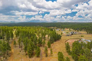 994 Osage, Flagstaff, AZ 86005 - Photo 29