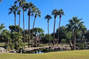 15028 W Bottle Tree Ave, Surprise, AZ 85374 - Photo 31