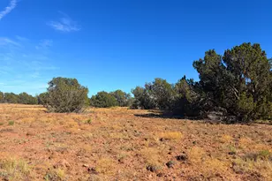 8571 Elkhorn Dr, Show Low, AZ 85901 - Photo 1