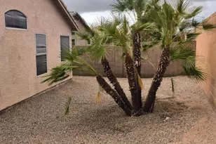 7228 S Roberts Rd, Tempe, AZ 85283 - Photo 25