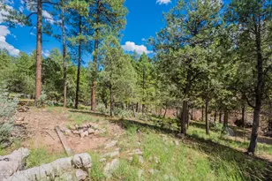 199 S Greystone Circle, Payson, AZ 85541 - Photo 71