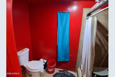 53697 W Wileys Way, Maricopa, AZ 85139 - Photo 19