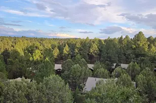 2310 N Cottage Trail, Show Low, AZ 85901 - Photo 3