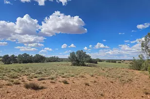 144 N County Road 9027 --, Concho, AZ 85924 - Photo 1