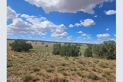 144 N County Road 9027 -- #47, Concho, AZ 85924 - Photo 3