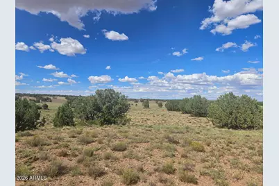 144 N County Road 9027 -- #47, Concho, AZ 85924 - Photo 5